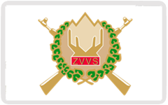 zvvs