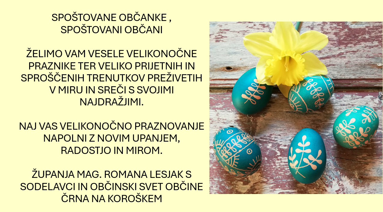 Posnetek zaslona 2024 03 29 132857