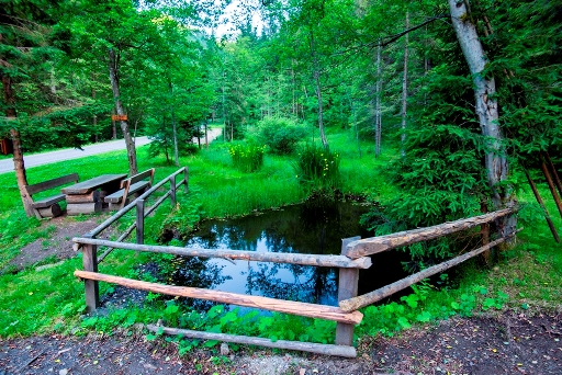 Naravni park Bistra avtor Boris Keber