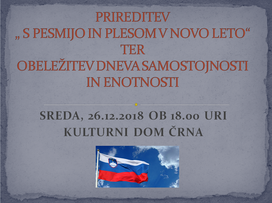 PRIREDITEV S PESMIJO IN PLESOM V NOVO LETO