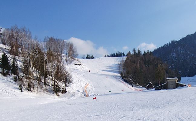 Zajeta slika