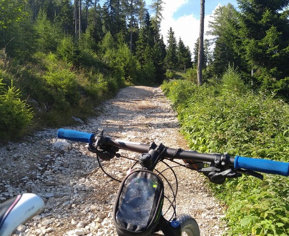 kolesarjenje 4
