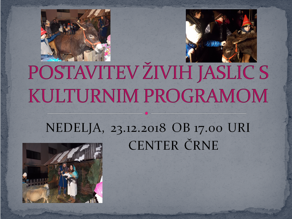 pOSTAVITEV ŽIVIH JASLIC