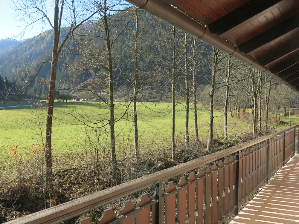 črna pogled 2 2